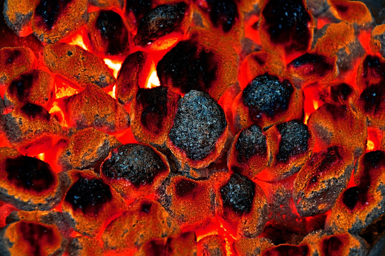 Charcoal Briquettes