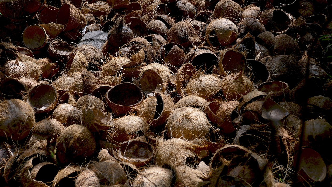 Coconut Shell Briquettes